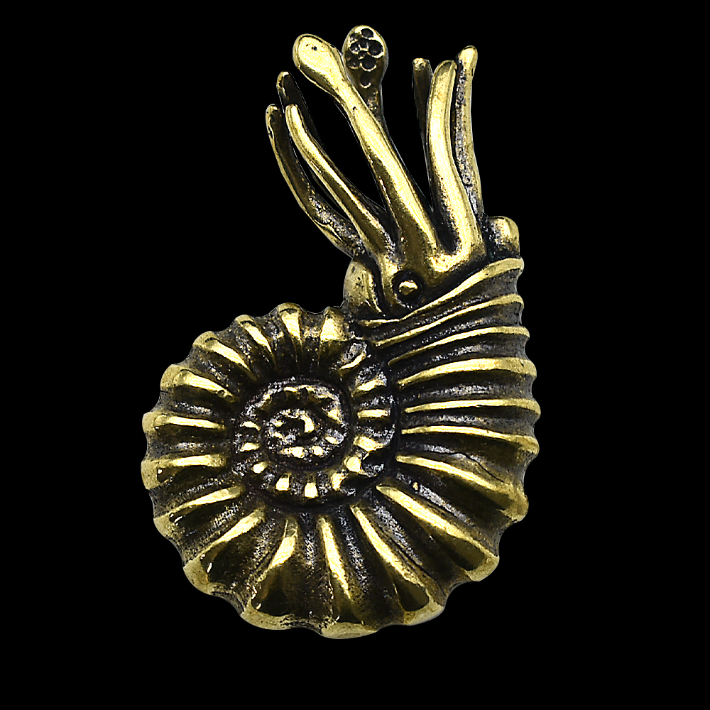 Vintage Brass Nautilus Shell F - مراجعة Vintage Collectible Christmas Ornaments وسعره