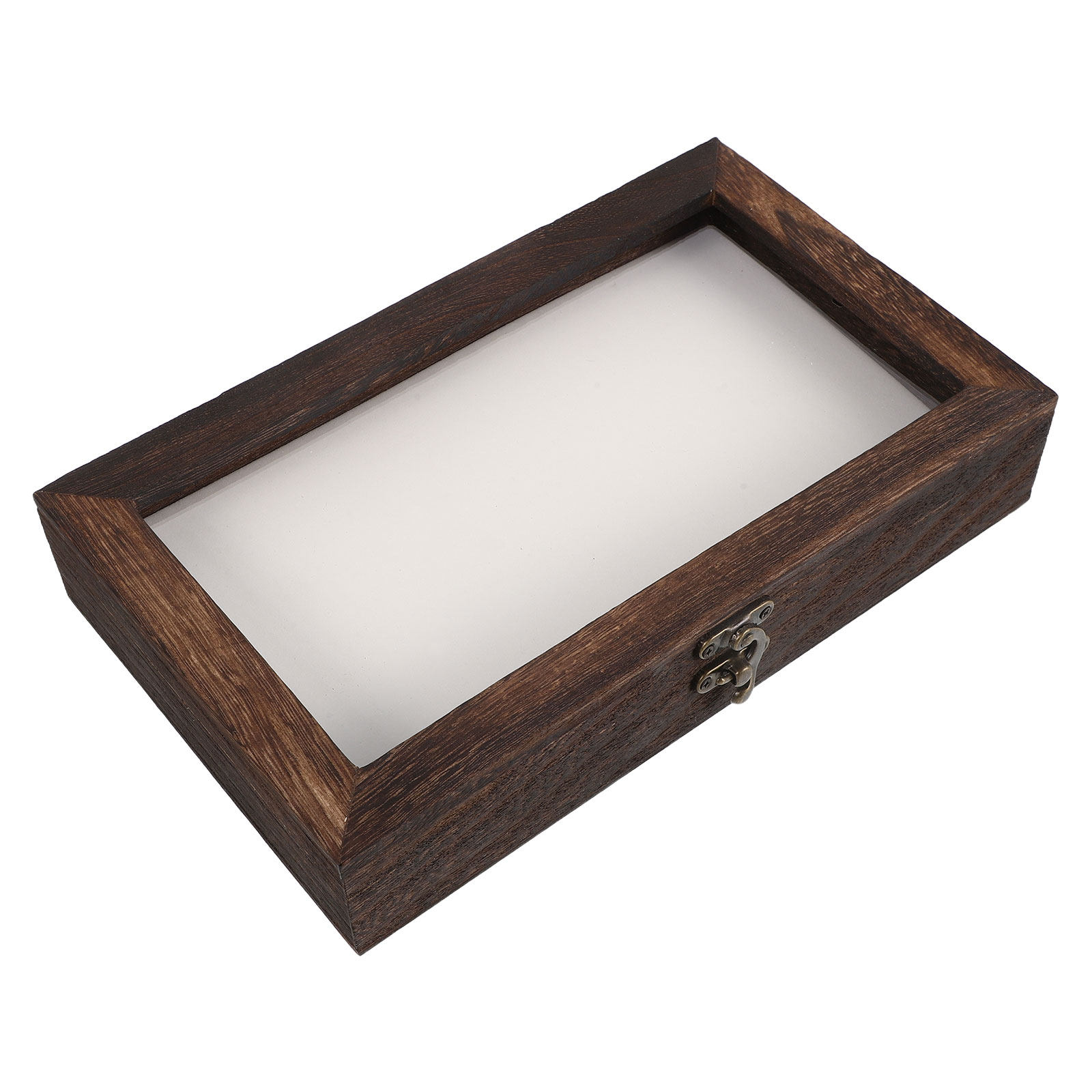 Insect Display Case Vintage Wo - مراجعة Vintage Collectible Pins وسعره